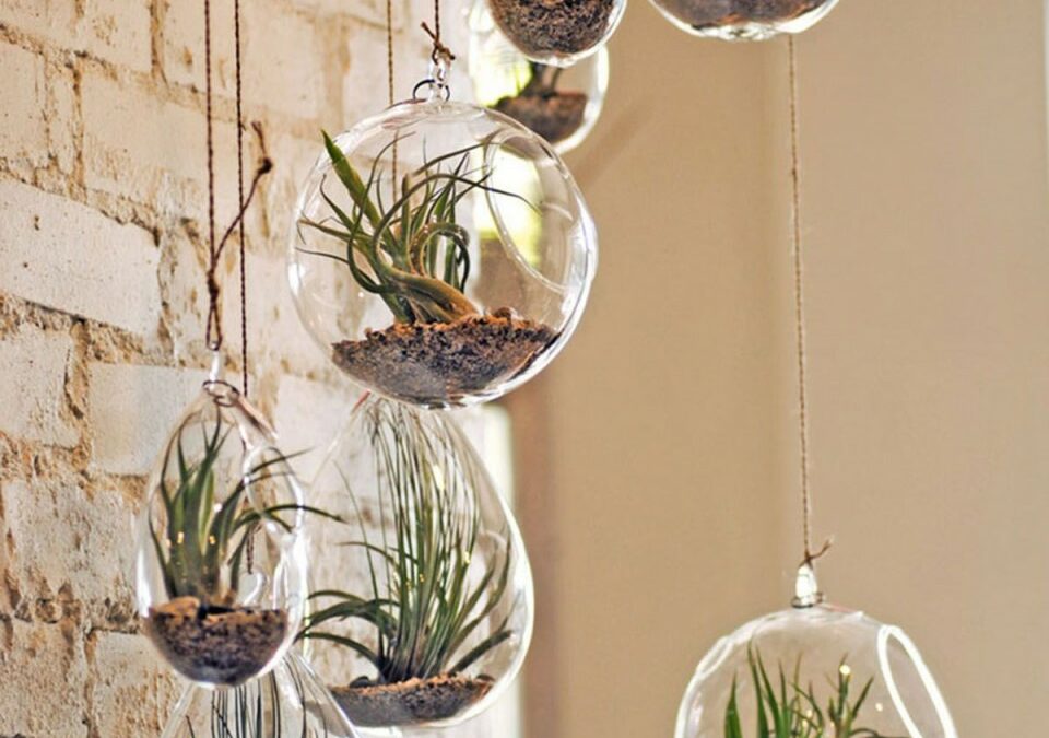 Es el momento de decorar con plantas